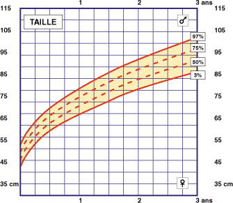 La Taille De Bebe Et La Taille Des Enfants De 2 A 4 Ans