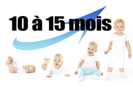 développement bébé 10 à 15 mois