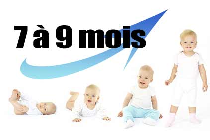 Le développement de l'enfant de 7 à 9 mois