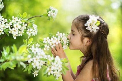 Dans le jardin: des plantes toxiques pour bébé !